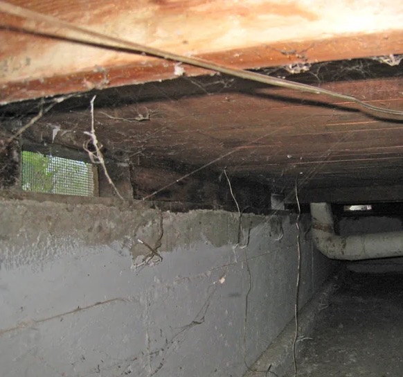 Crawl Space Water Extraction in Celina, TX