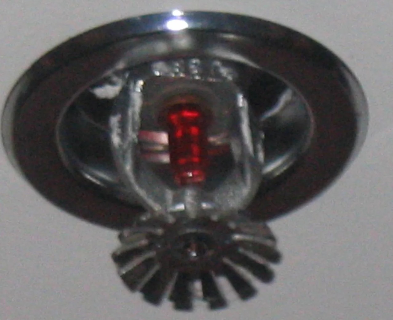 Sprinkler System Water Removal in Celina, TX