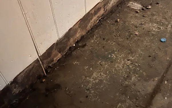 Crime Scene Cleanup in Lewisville, TX