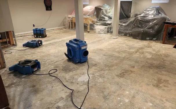 Mold Remediation Services in Lewisville, TX